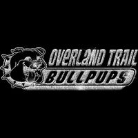 GLT102 SILVER GLITTER Thumbnail