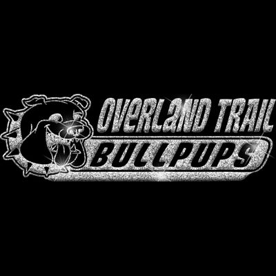 GLT102 SILVER GLITTER Thumbnail