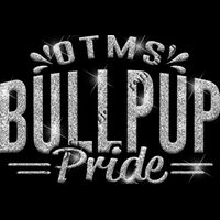 GLT62 SILVER GLITTER Thumbnail