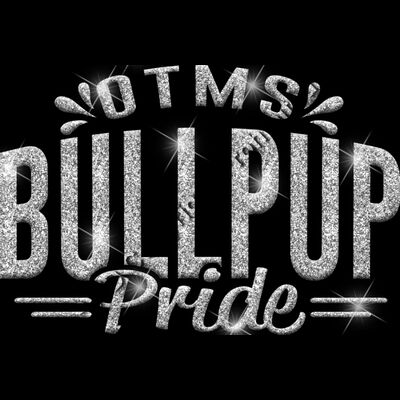 GLT62 SILVER GLITTER Thumbnail