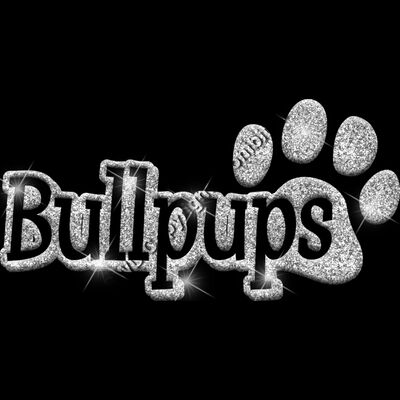 GLT17 SILVER GLITTER Thumbnail