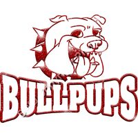 GLT32 RED GLITTER Thumbnail